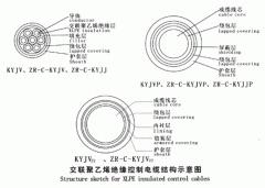 KYJV，KYJVP，KYJV22額定電壓0.6/1kV交聯(lián)聚乙烯絕緣控制電纜