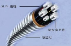 鋁合金自帶鎖鎧裝電纜