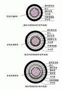 PTYA23、PTYA22鐵路鎧裝信號電纜